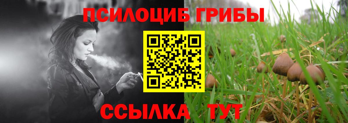 Семёнов  Галлюциногенные грибы мицелий  Вход с VPN 