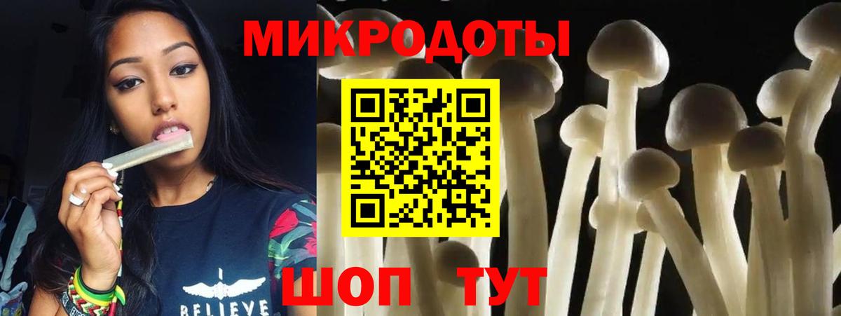 Галлюциногенные грибы Psilocybine cubensis Семёнов